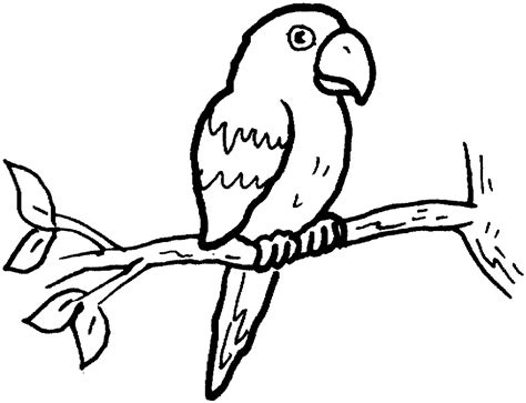 Parrot Coloring Page Animals Town Free Parrot Color Sheet