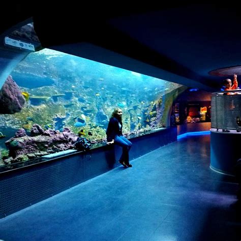 Istanbul Sea Life Aquarium All You Need To Know Before You Go