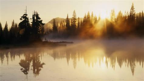 배경 화면 햇빛 나무 경치 일몰 호수 반사 해돋이 저녁 아침 안개 황야 황혼 가을 새벽 시즌