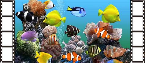 We did not find results for: Cara Mudah Buat Wallpaper Bergerak di Windows