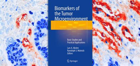 New Book From Ccbio Centre For Cancer Biomarkers Ccbio Uib