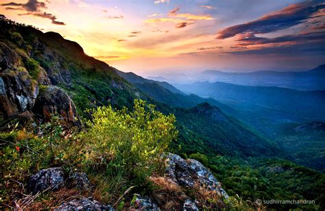 Nilgiri Mountains Tamil Nadu India