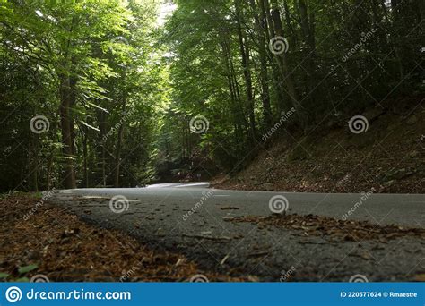 Beautiful Winding Mountain Road With Trees And Forests In Background