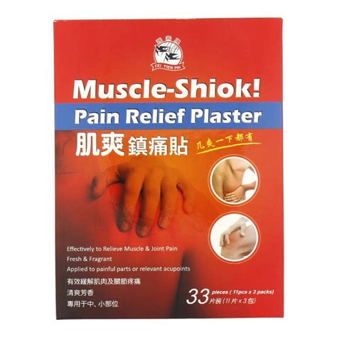 Fei Yien Pai Muscle Shiok Pain Relief Plaster 11 33 Pieces