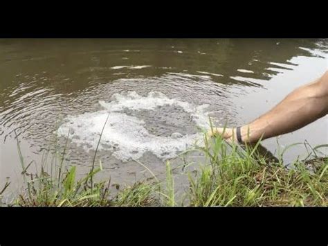 Spend half the money and get a better pump and better results using a septic air pump for your pond aeration. (2) DIY Pond Aeration: Improve Your Pond Water Quality ...