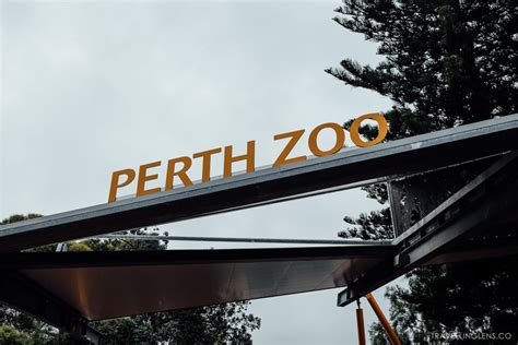 Exploring Perth Zoo • Travelling Lens