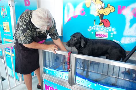 Our stylists offer shampoos, trims, teeth brushing, ear & nail care for your dog. Wilmington gets the K9000, the self-serve DIY dog washing station from down under | Port City Daily