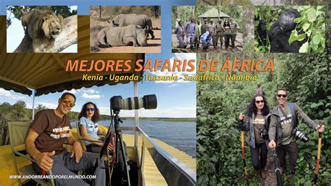 ¿cuáles Son Los Mejores Safaris De África Andorreando Por El Mundo