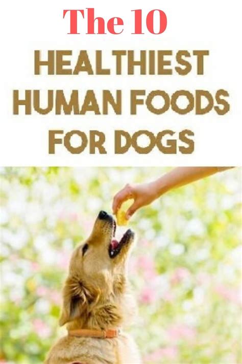 However, as of 2014, around 3% of people in switzerland eat dog meat in the form of jerky or. 10 Healthy Human Foods Dogs Can Eat | Foods dogs can eat ...