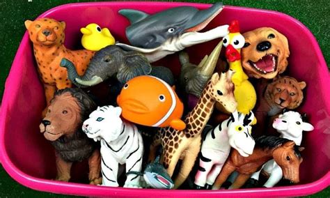Learn Sea Animal And Wild Zoo Animals Names Education Video Toys For