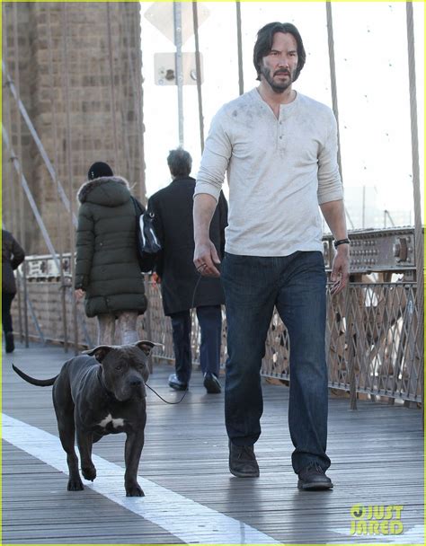 بيل وتيد في مواجهة الموسيقى. Keanu Reeves' 'John Wick 2' Will Feature a 'Matrix ...