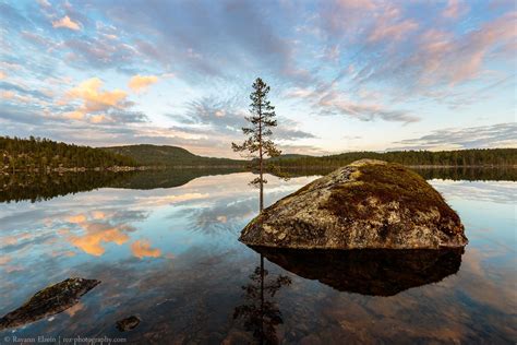 Lapland Summer Pictures Rayann Elzein Photography