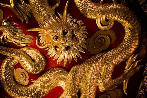 Imperial Dragon By Brunkfordbraun Via Flickr Yellow Dragon Gold