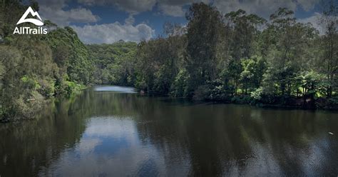 Best Trails In Lane Cove National Park New South Wales Australia
