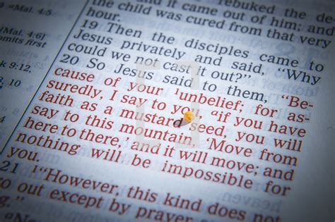Mustard Seed Parable Text In Bible — Photo — Lightstock