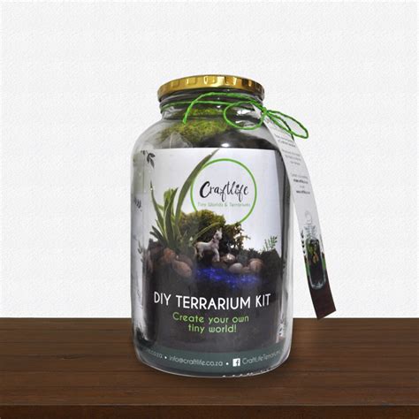 10% of our proceeds go to charity:water, bringing clean drinking water to people in developing countries. CraftLife DIY Terrarium Kit - Large | CraftLife