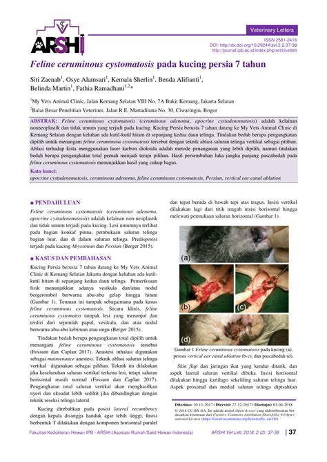 Pdf Feline Ceruminous Cystomatosis Pada Kucing Persia 7 Tahun