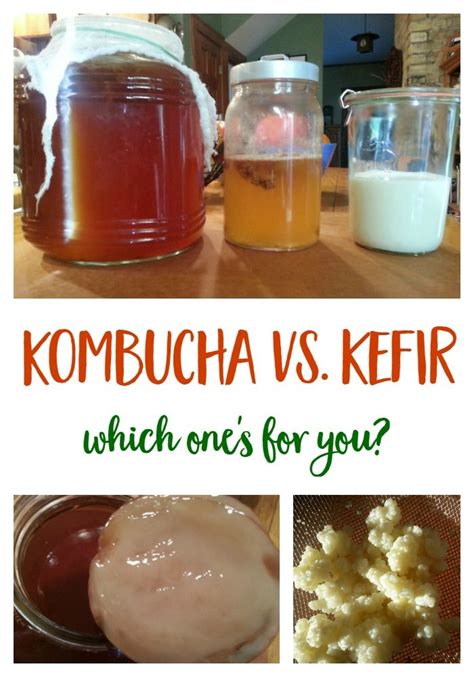 Kombucha Vs Kefir Similarities And Differences And How To Make Them My XXX Hot Girl
