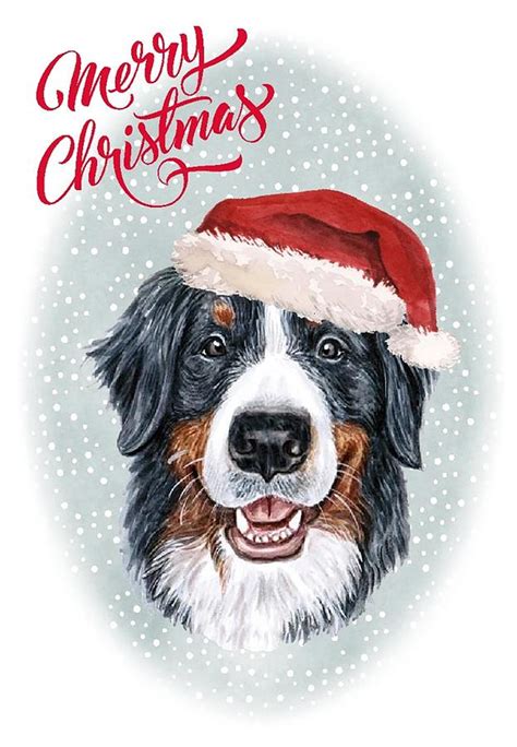 Christmas Bernese Mountain Dog Santa Dog Holiday Greeting Digital Art