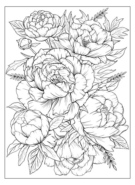 Coloring Page With Peonies And Leaves Vector Page For Coloring Flower