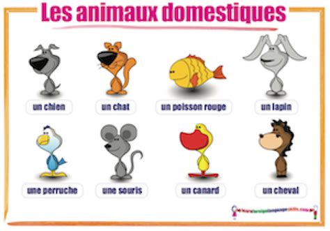 Learn Foreign Language Skills French Animals Les Animaux