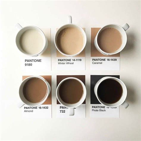 50 Shades Of Coffee Pantone Coffee Colour Minimalist House Design