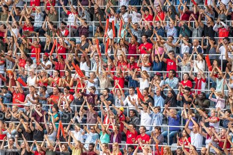 경기장에서 응원 하는 관중의 그룹 30 39세에 대한 스톡 사진 및 기타 이미지 30 39세 격려 경기 스포츠 Istock