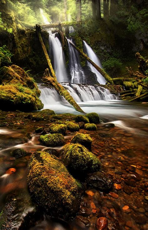 Panther Den Ford Pinchot National Forest Washington United States