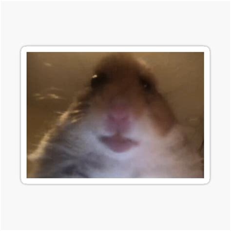 Facetime Hamster Meme Sticker For Sale By Smithdigital Redbubble