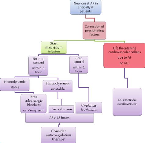 Treatment Algorithm For New Onset Atrial Fibrillation In Critically Ill