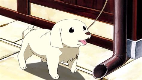 Tổng Hợp 86 Anime Dogs đỉnh Nhất Go Ahead