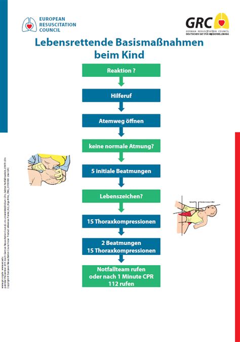Bei einem notfall ist ein reibungsloser ablauf der rettungskette essentiell für eine gute prognose der allgemeine informationen zu notfällen. Abcde- Schema ::der innere Leitfaden:: - Home | Facebook