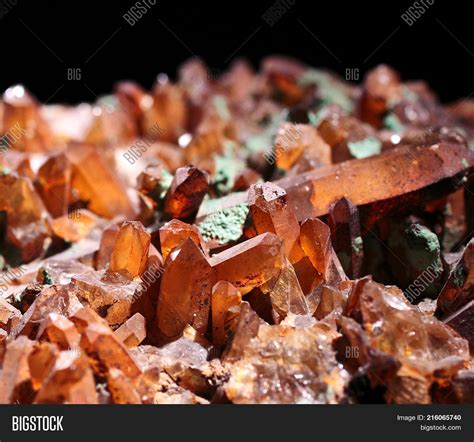 Brown Translucent Image And Photo Free Trial Bigstock