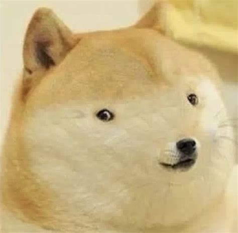 Doge Meme Face