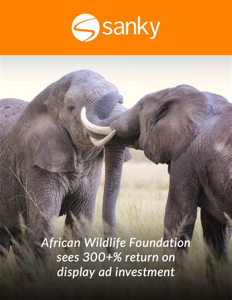 Case Study African Wildlife Foundation And Quantcast