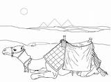 Desert Coloring Pages Print Nature sketch template
