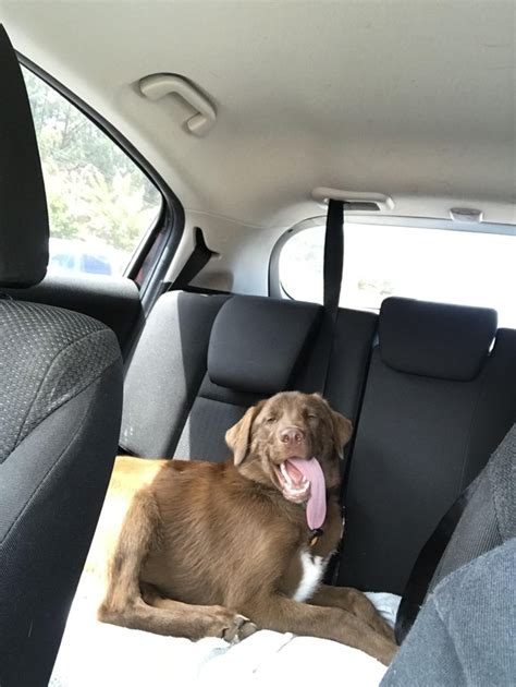 A phrase often used to disparage x, where x is a group with a number of negative stereotypes associated with them. You know what they say about a big tongue - Meme Guy