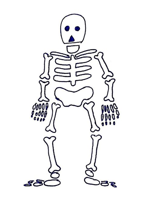 Skeleton Drawing Printable