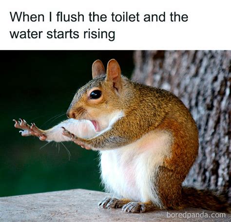 164 Funny And Relatable Memes