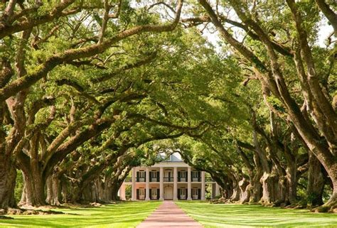 Oak Alley Plantation New Orleans Tickets And Tours 2024