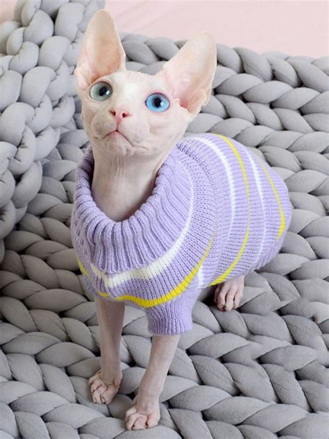 Sphynx Cat Clothes Warm Cat Devon Knitting Sweater Winter Etsy 猫の服