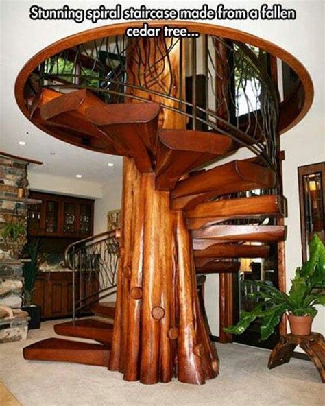 Beautiful Done Spiral Staircase Built From A Fallen Cyprus Tree