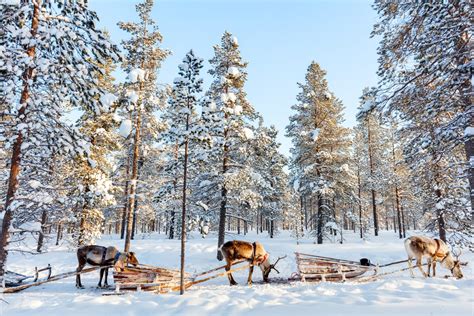 Lapland Arctic Adventure En Het Noorderlicht In Finland