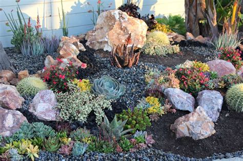 Succulent Tapestry Hardscape Landscaping With Rocks