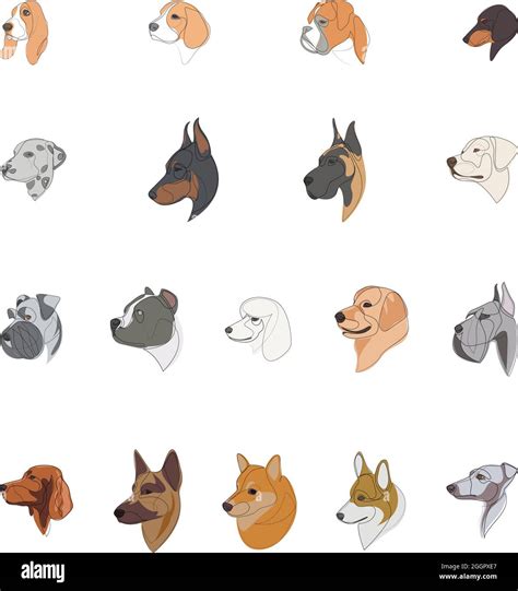 Breeds Of Dogs Drawn In Minimal Style Set One Line Dogs Vector