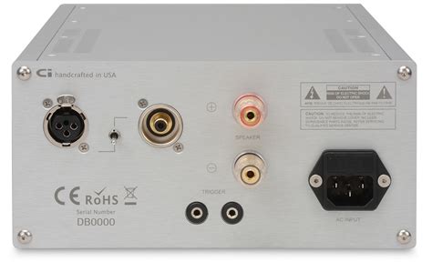 D 200 Mkii Class D Monoblock Amplifiers Pair Ci Audio
