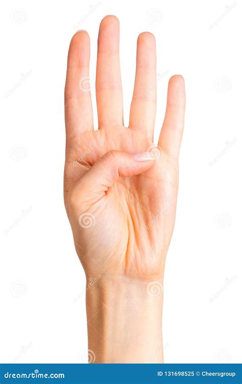 Female Hand Showing Four Fingers And Palm Stock Image Image Of Person