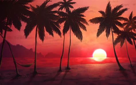 Sunset Wallpaper 4k Tropical Trees Silhouette Dawn
