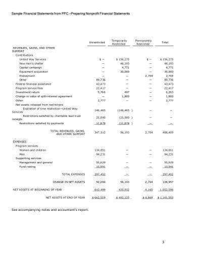 Free Non Profit Financial Statements Samples In Ms Word Google