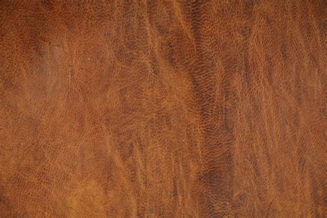 Free photo: Cow leather texture - Animal, Brown, Cow - Free Download ...